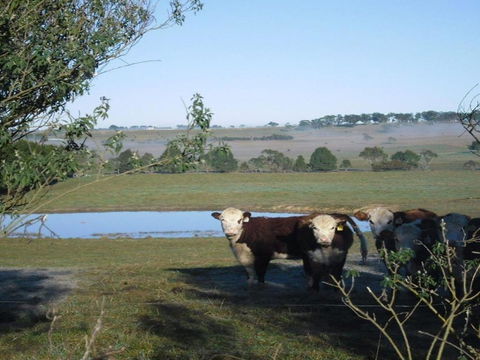 Sutton Downs Renovated Country Home On 100 Acres - Accommodation Mt Buller 7