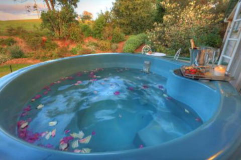 Maleny Homestead & Cottage - Accommodation Mt Buller 4