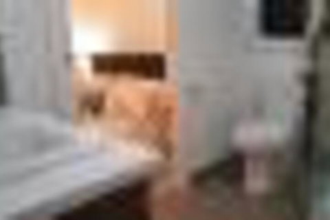 Tranquility - Accommodation Mt Buller 2