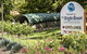 The Bright Resort - thumb 1