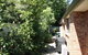 4 Autumn Grove - thumb 4