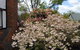 Merrimeet Cottages - thumb 0