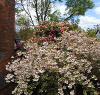 Merrimeet Cottages - Accommodation Mt Buller