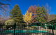 The Birch House - Silver Birches - thumb 1