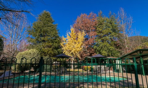 The Birch House - Silver Birches - Accommodation Mt Buller 1