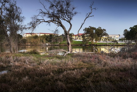 Swan River Hotel - Accommodation Mt buller 0