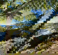 Binna Burra Rainforest Campsite - Accommodation Mt Buller