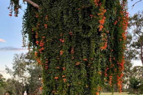 Amarina Farm Stay & Gardens - Accommodation Mt Buller 6