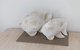 WHITE WAVES 4 ABSOLUTE BEACH FRONT STUDIO HASTINGS POINT - thumb 1