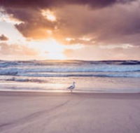 Blue Waters Motel - Accommodation Mt Buller