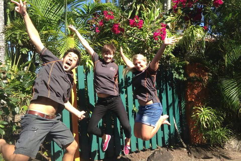 JJs Backpackers Hostel - Accommodation Mt Buller 6