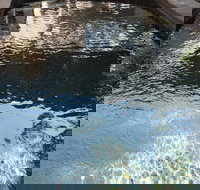 Town  Country Motel - Accommodation Mt Buller