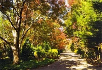 Chalets Lumineux - Accommodation Mt Buller 0