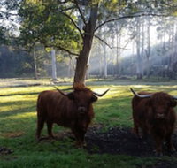 Dingley Dell - Accommodation Mt Buller