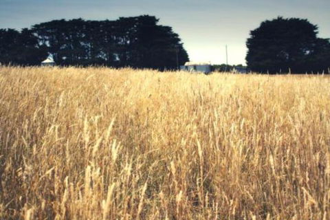 Galwiji Homestead - Accommodation Mt Buller 6