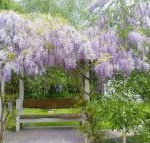 Amelina Cottages - Accommodation Mt Buller