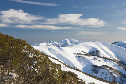 Absollut - Accommodation Mt Buller 5