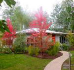 Dalrymples Guest Cottages - Accommodation Mt Buller