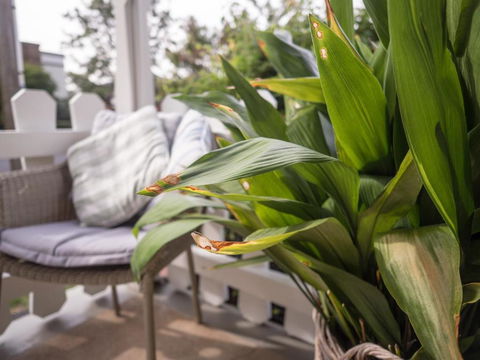 Cottage 79 - Accommodation Mt Buller 5