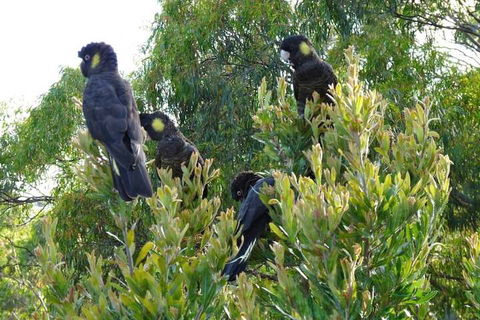 Eagles Rise Tasmania - Accommodation Mt Buller 5