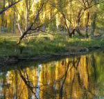 On The Banks - Accommodation Mt Buller
