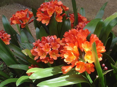 Braeside Bed & Breakfast - Accommodation Mt Buller 1