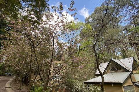 Lochiel Luxury Accommodation - Accommodation Mt Buller 4