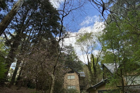 Lochiel Luxury Accommodation - Accommodation Mt Buller 3