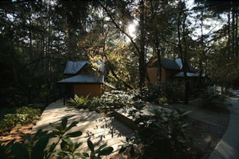 Lochiel Luxury Accommodation - Accommodation Mt Buller 7