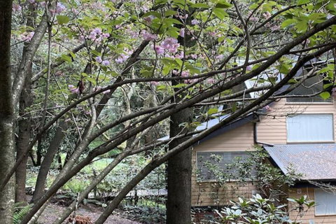 Lochiel Luxury Accommodation - Accommodation Mt Buller 5