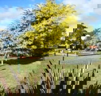 Bairnsdale Main Motel - Accommodation Mt Buller