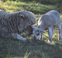 Clandulla Cottages - Accommodation Mt Buller