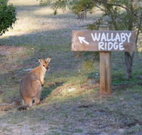 Wallaby Ridge Retreat - Accommodation Mt Buller