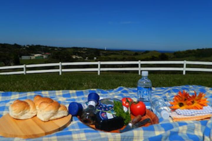 Sea Elephant TAS Accommodation Mt Buller