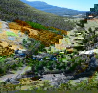 Hillside Bed  Breakfast - Accommodation Mt Buller