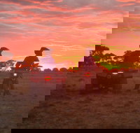 Corynnia Station - Accommodation Mt Buller