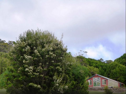 Rocky Glen Retreat King Island - Accommodation Mt Buller 6