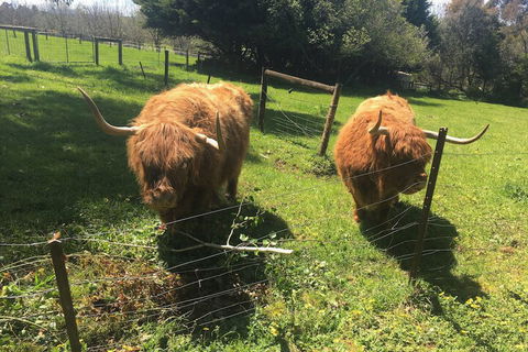 Neerim Country Cottages - Accommodation Mt Buller 2