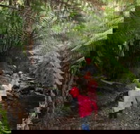 12 Apostles Cottages - Accommodation Mt Buller