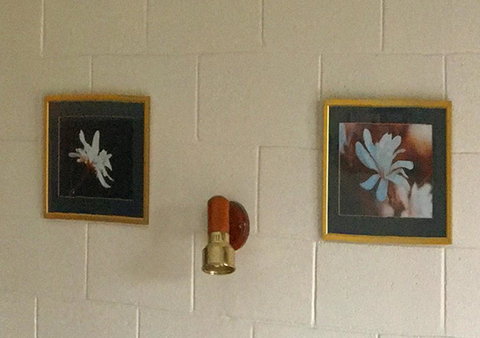 Milawa Motel - Accommodation Mt Buller 2