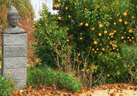 Milawa Motel - Accommodation Mt Buller 5