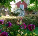 A Country Barn Retreat