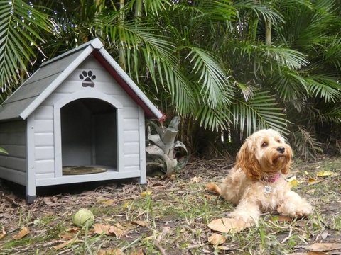 CHILL OUT BEACH HOUSE At FORSTER - Accommodation Mt Buller 3