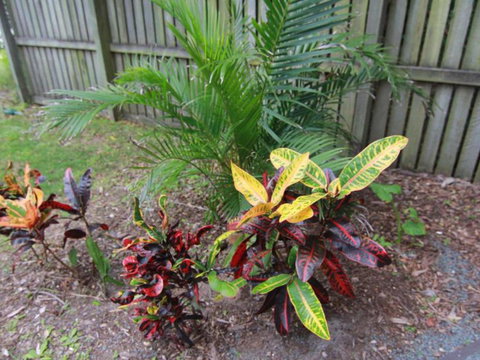 Beachside - Accommodation Mt Buller 4