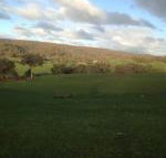 Mancuso Country Cottage Retreat - Accommodation Mt Buller