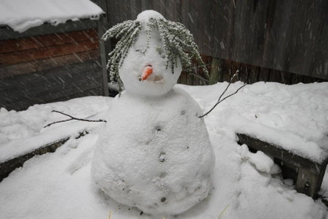 CHILL OUT At THREDBO - Accommodation Mt Buller 2