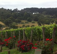 Paringa Estate - Accommodation Mt Buller