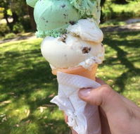 The Rainbow Ice Cream Shop - Accommodation Mt Buller