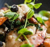 Fat Dumpling - Accommodation Mt Buller