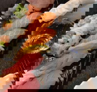 Kanakawa Japanese Restaurant - Accommodation Mt Buller